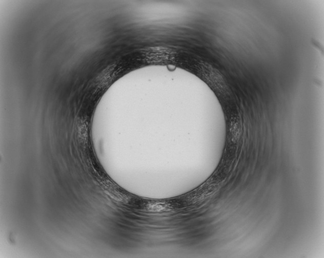 X0000096160753200802081434