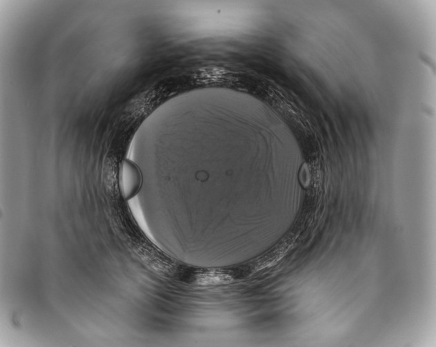 X0000096160754200802081434