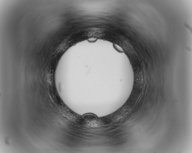 X0000096160755200802081434