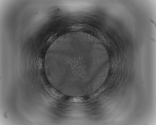 X0000096160758200802081434