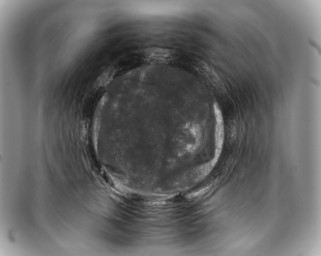 X0000096160759200802081434