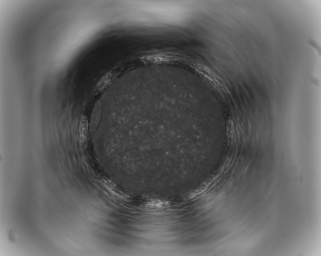 X0000096160760200802081434