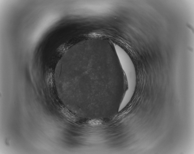 X0000096160762200802081434