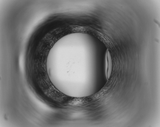 X0000096160764200802081434