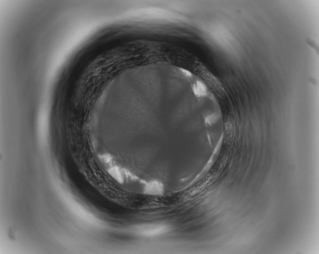 X0000096160765200802081434