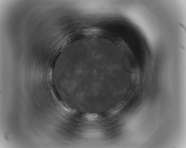 X0000096160767200802081434