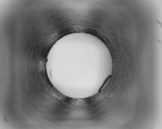 X0000096160768200802081434