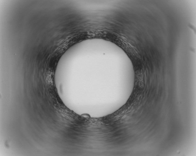 X0000096160770200802081433