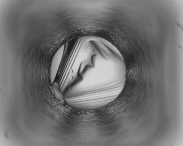 X0000096160772200802081433