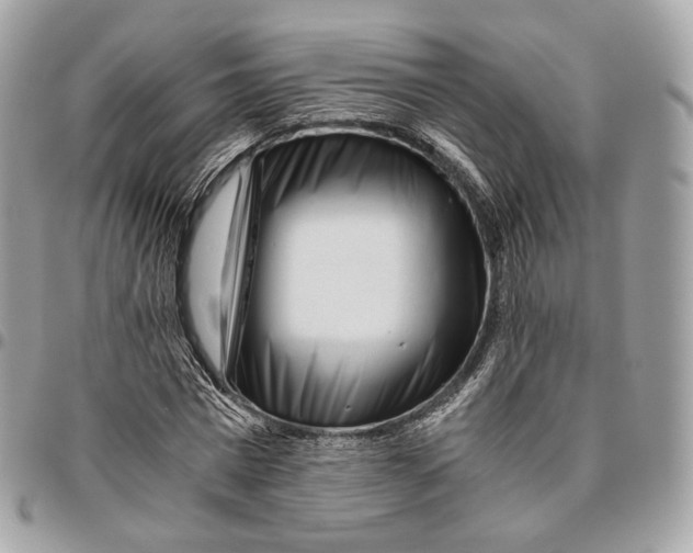 X0000096160777200802081433