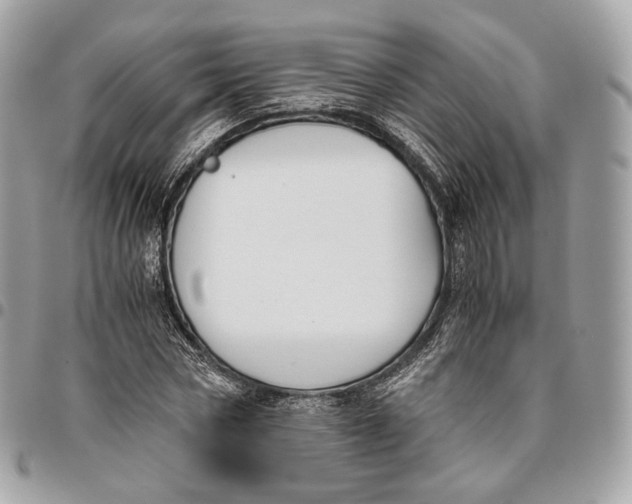 X0000096160778200802081433