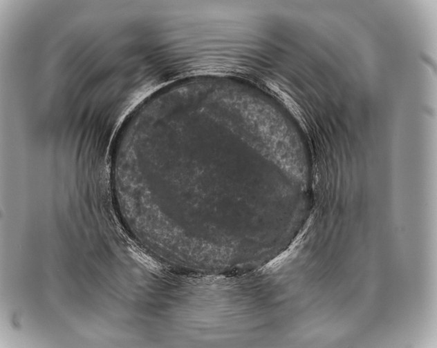 X0000096160779200802081433