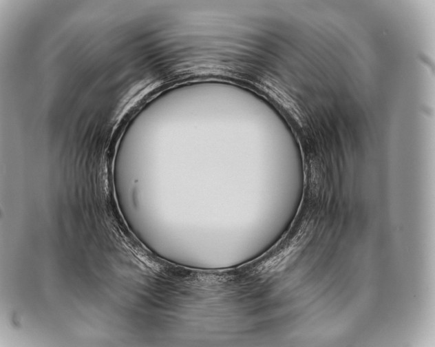 X0000096160782200802081433