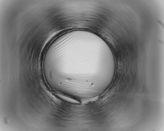 X0000096160784200802081433