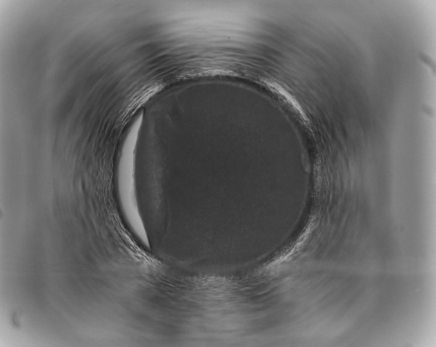 X0000096160785200802081433