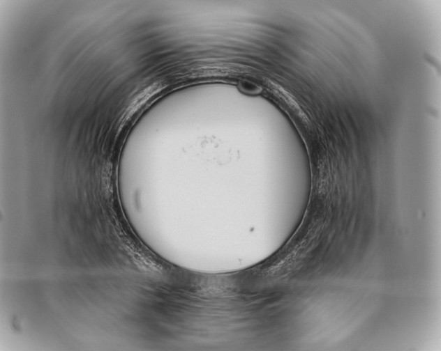 X0000096160786200802081433