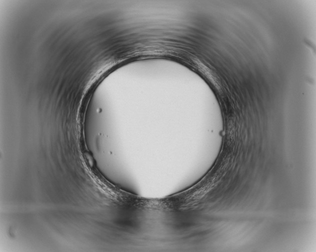 X0000096160787200802081433