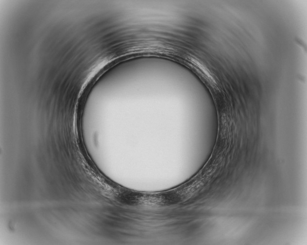 X0000096160788200802081433