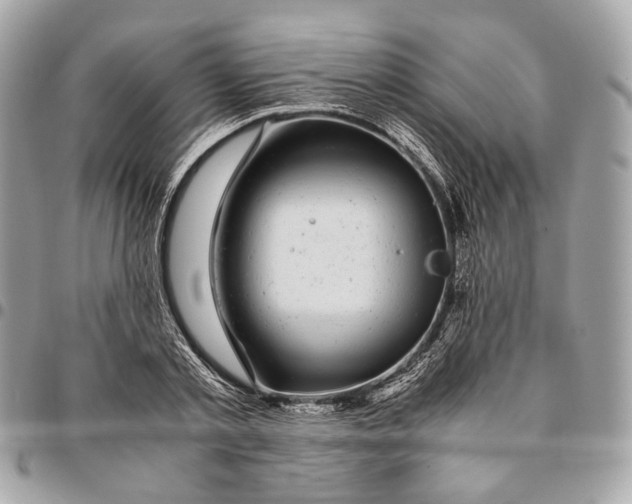 X0000096160789200802081433