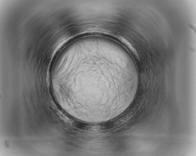 X0000096160791200802081433