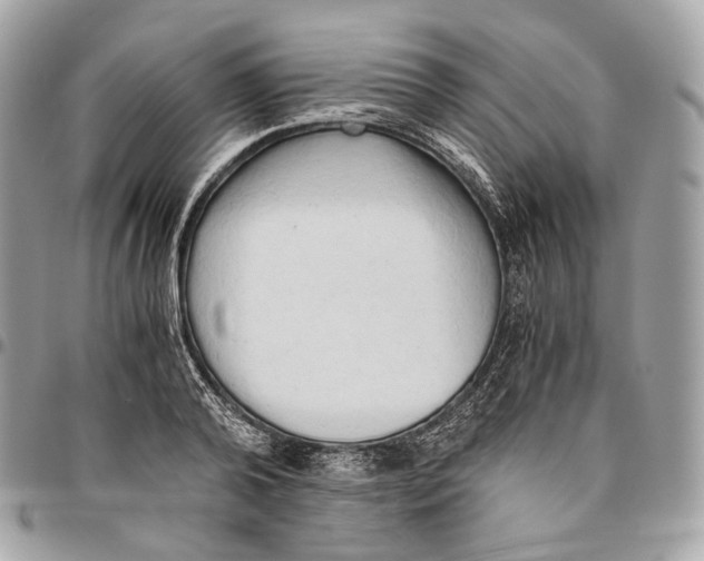 X0000096160792200802081433