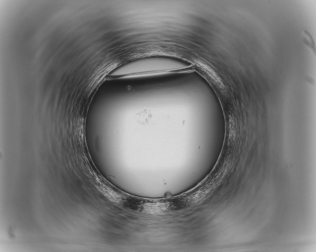 X0000096160793200802081433