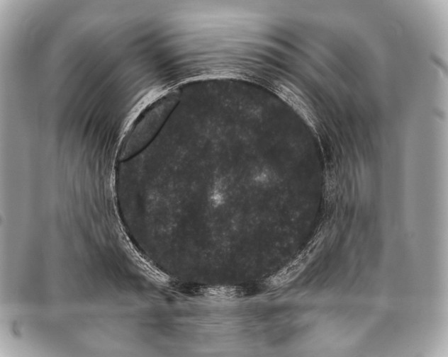 X0000096160797200802081433