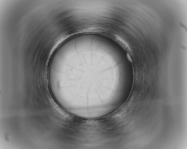 X0000096160800200802081433