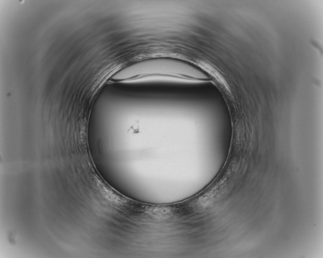 X0000096160801200802081433