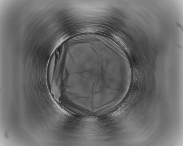 X0000096160802200802081433