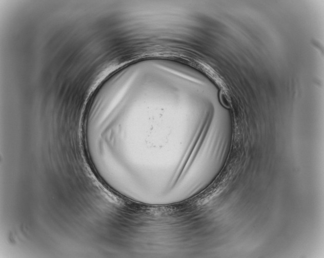 X0000096160803200802081433