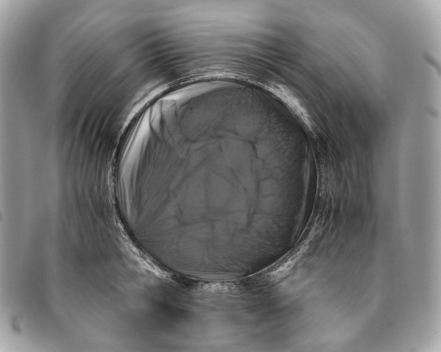 X0000096160806200802081433