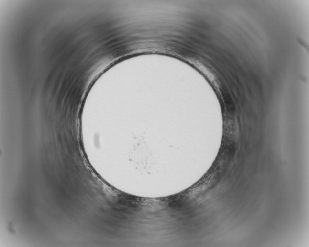 X0000096160807200802081433