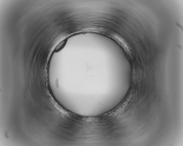 X0000096160808200802081433