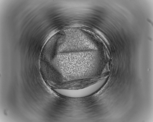 X0000096160810200802081433