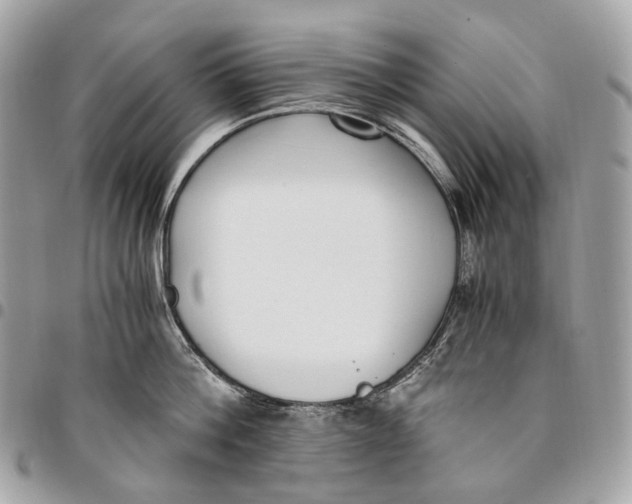 X0000096160812200802081433