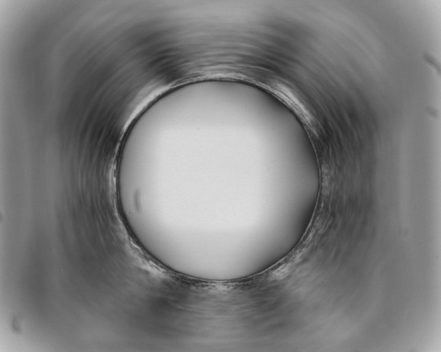 X0000096160814200802081433