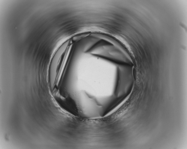 X0000096160815200802081432