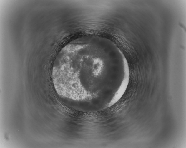 X0000096160817200802081432