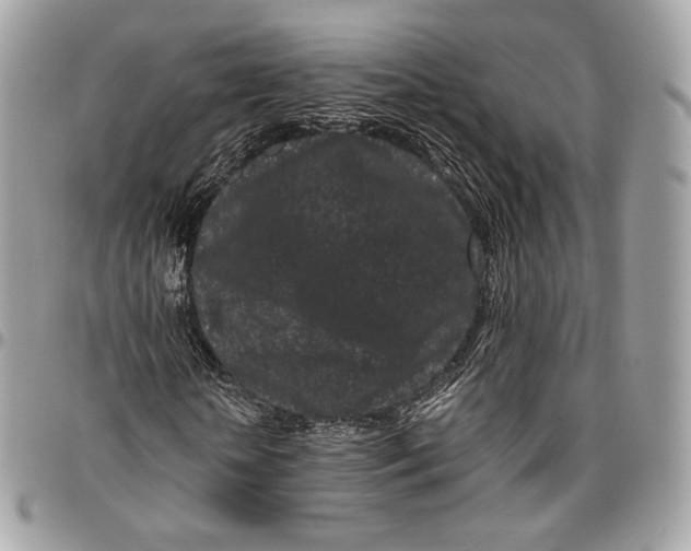 X0000096160818200802081432