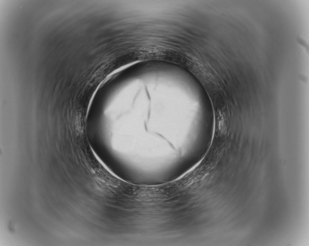 X0000096160819200802081432