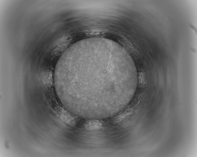 X0000096160820200802081432