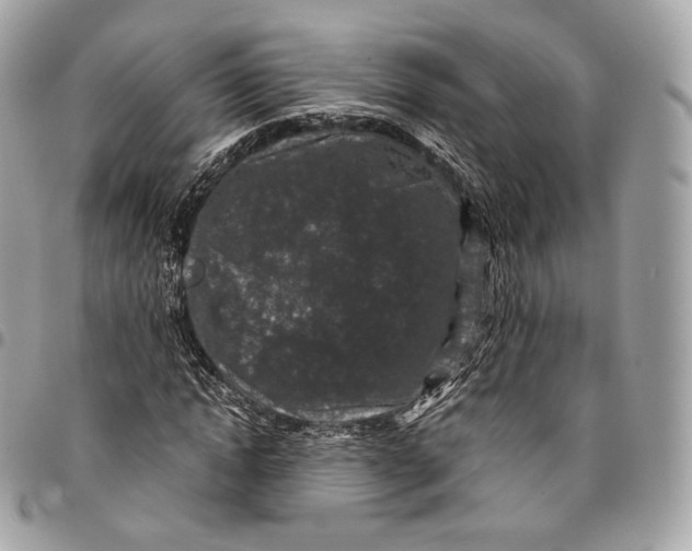 X0000096160822200802081432