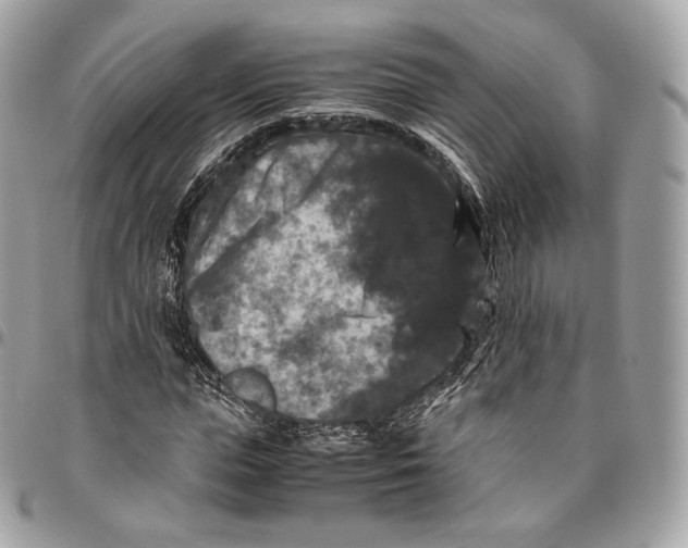 X0000096160823200802081432