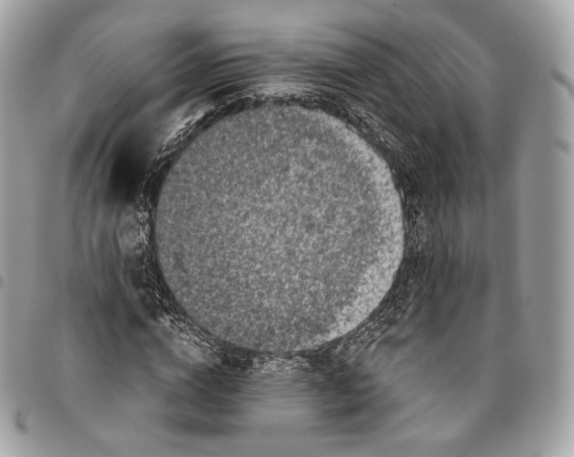 X0000096160824200802081432