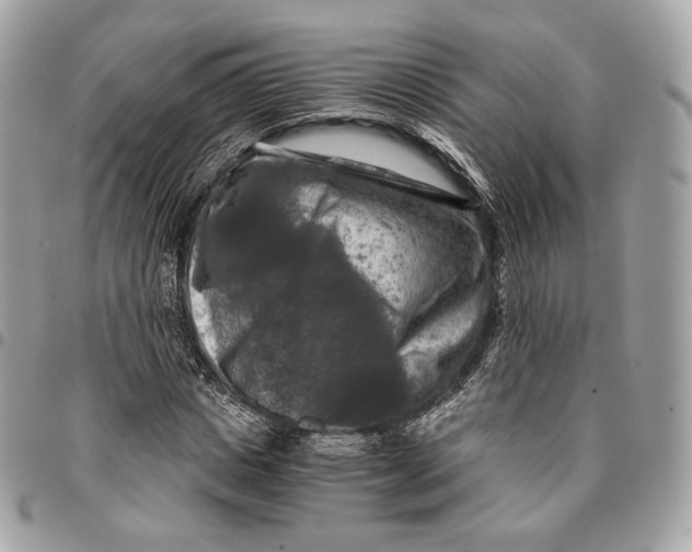 X0000096160825200802081432