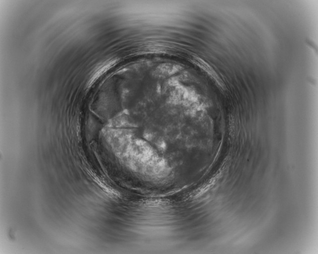 X0000096160826200802081432