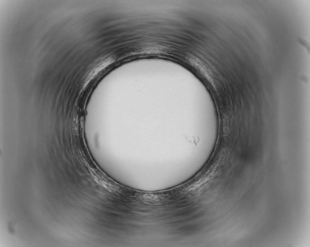 X0000096160827200802081432