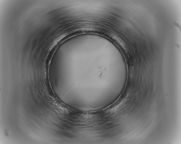 X0000096160829200802081432