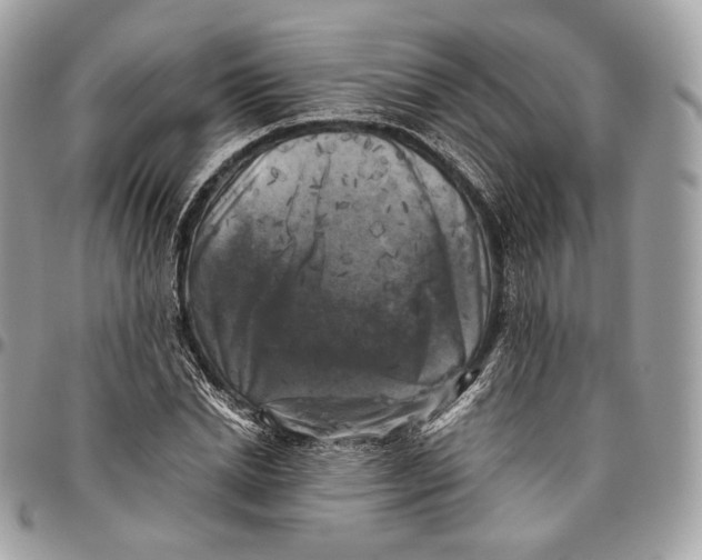 X0000096160830200802081432